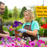 The Benefits Of Plant Nurseries Webfreen.com